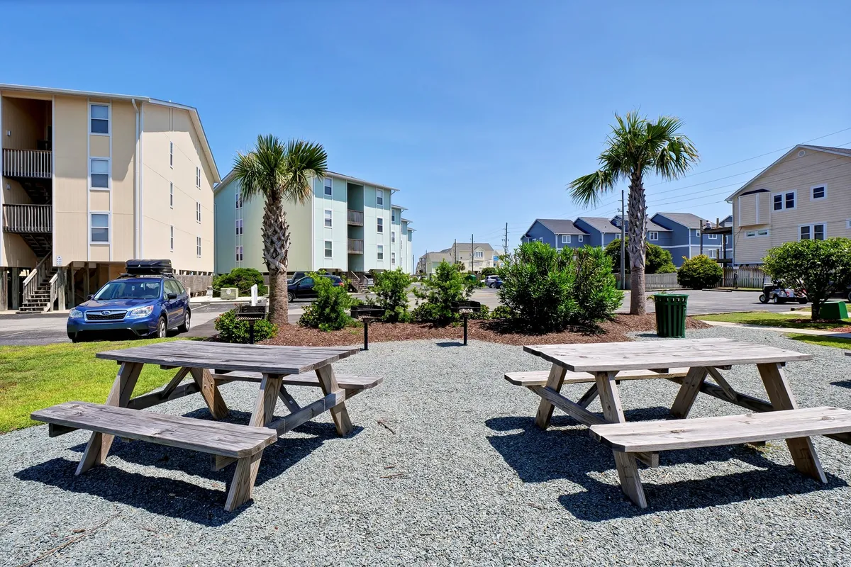 This relaxed outdoor scene showcases picnic tables shaded by palm trees, surrounded by landscaped greenery. It suggests a comfortable spot for social gatherings, morning coffee, or taking a break with your pup after a beach walk. The open air and pet-friendly setting align perfectly with the section's narrative.
